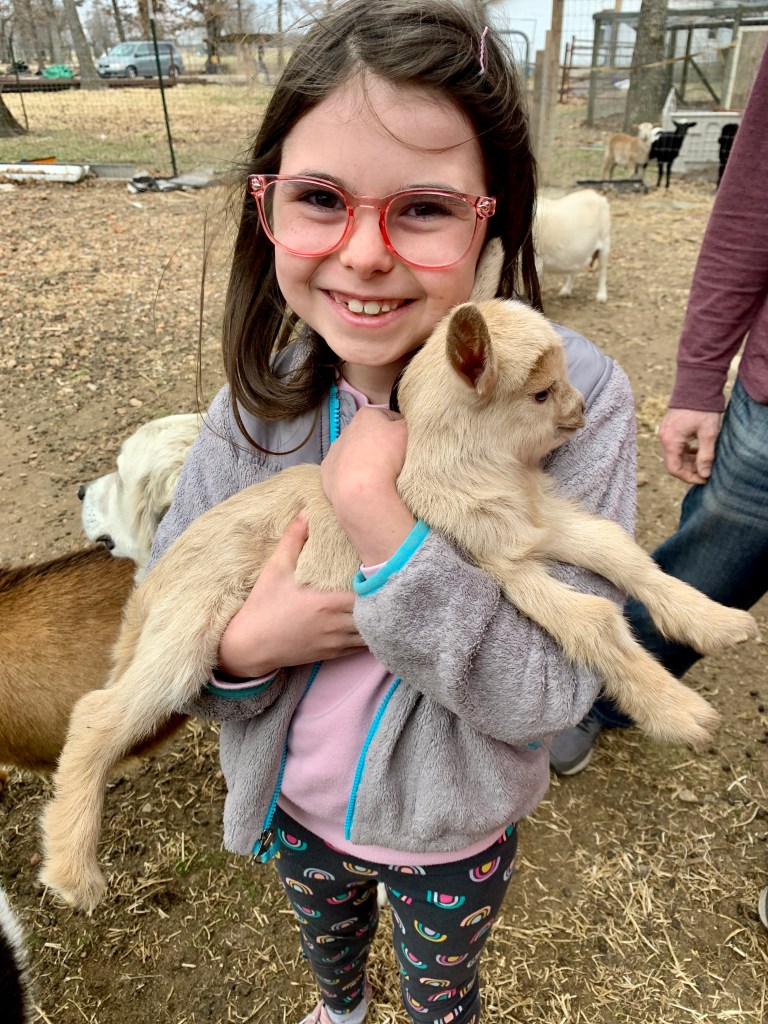 Girl holds nigerian dwarf goat kid