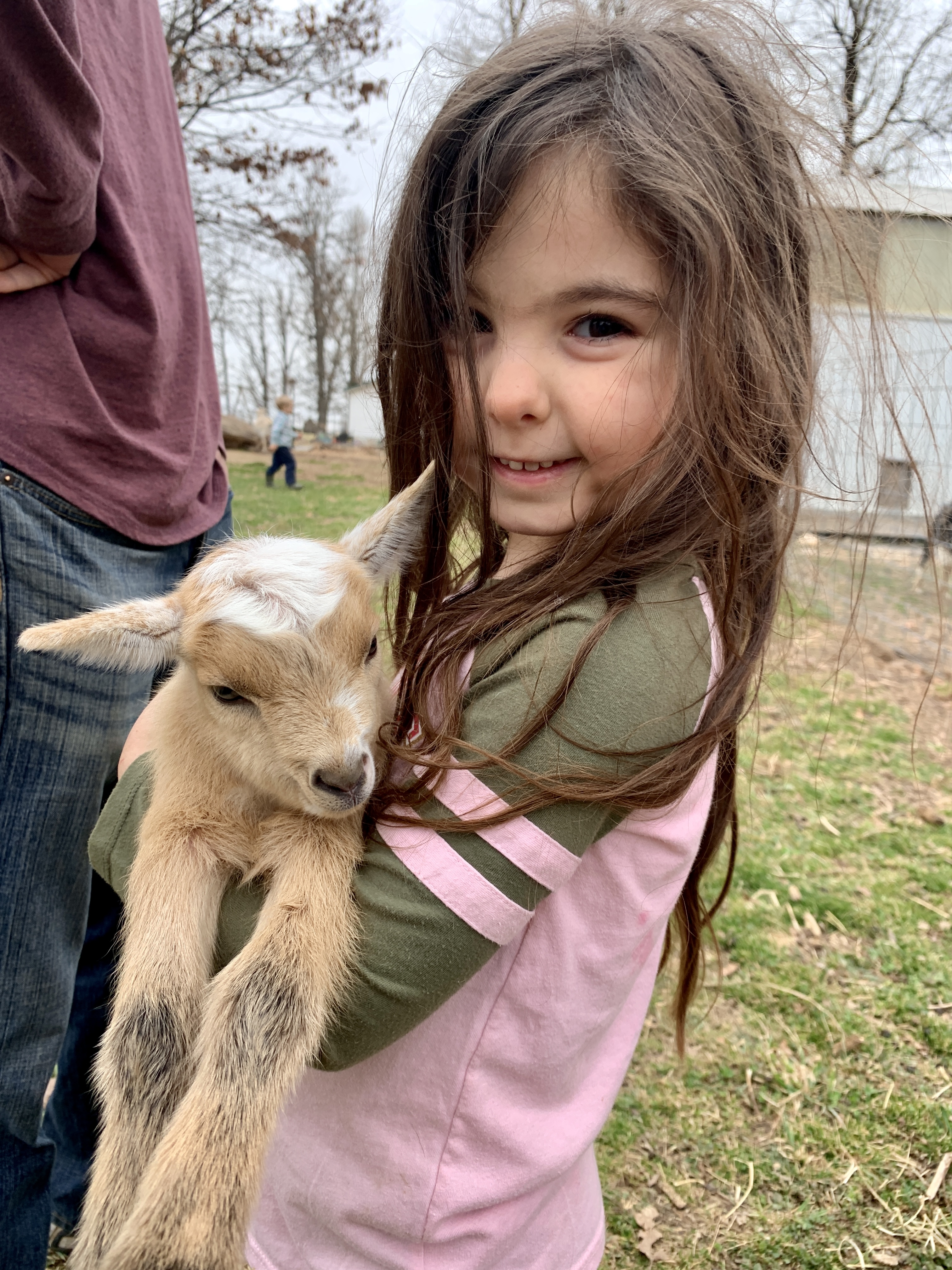 Girl holds miniature goat kid