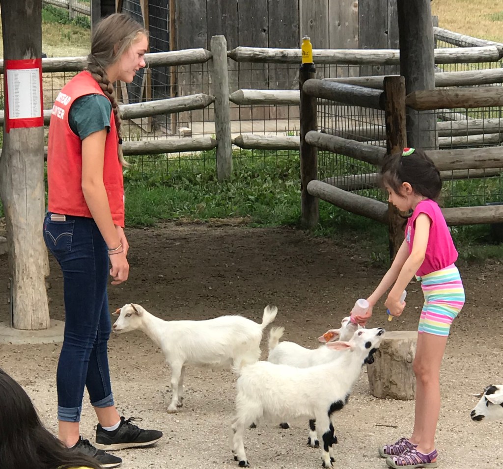 Woman teaches girl about feeding miniature goats