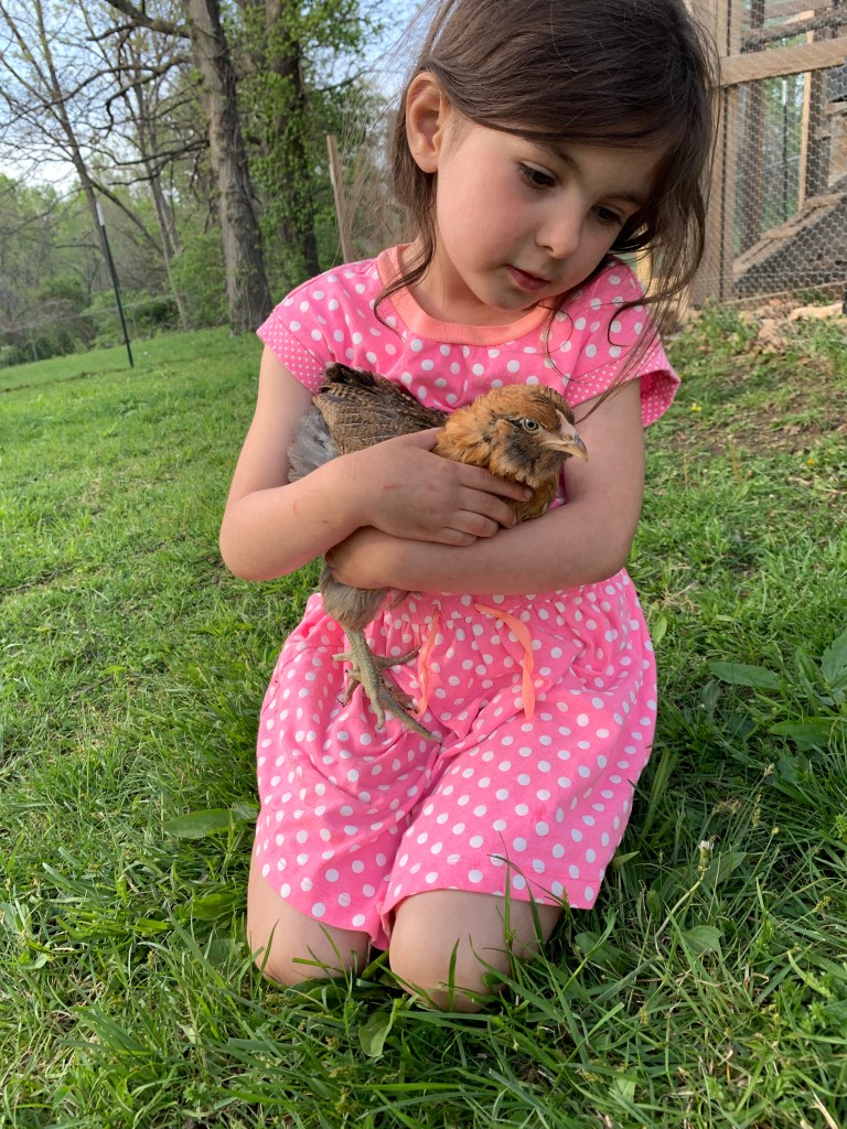 Young girl holding chicken in her backyard