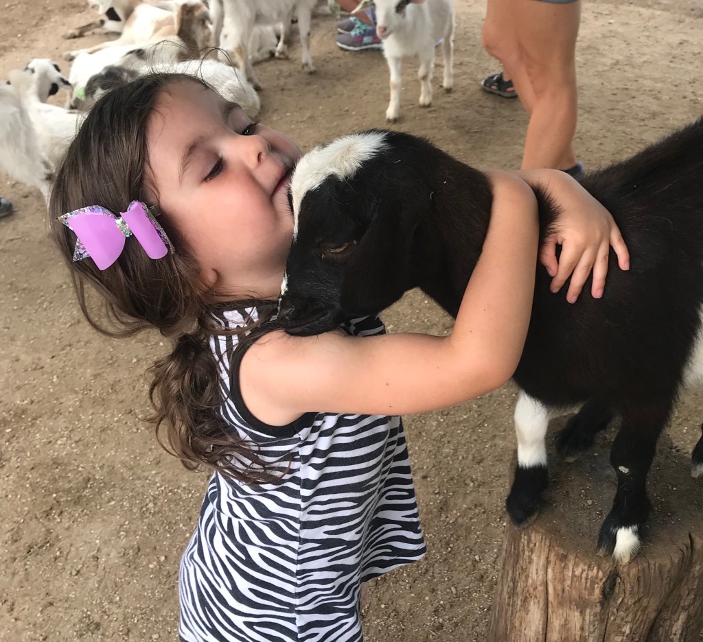 Young girl hugs miniature goat