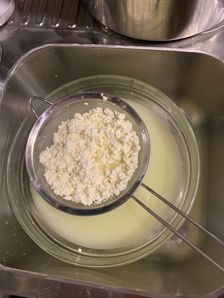 Homemade cheese curds