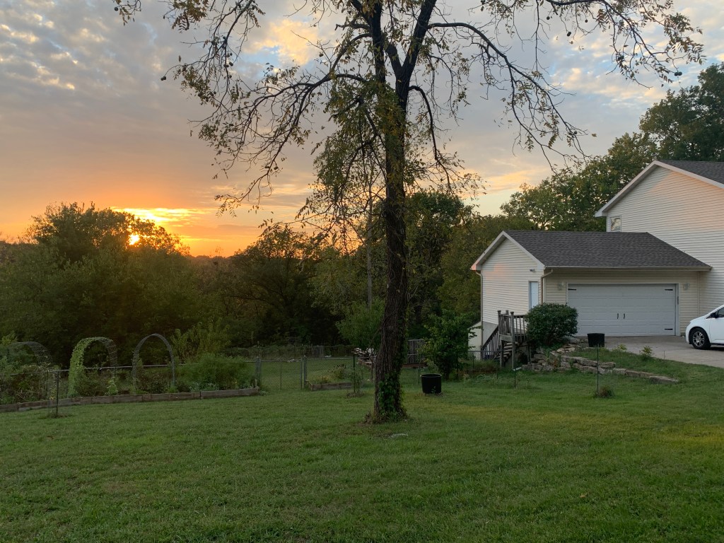 Sun sets over backyard garden